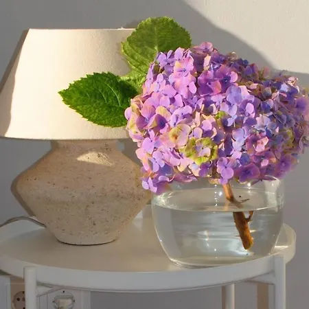 Apartamento Casa Do Mar 2 Bedrooms And Kingsize Bed *