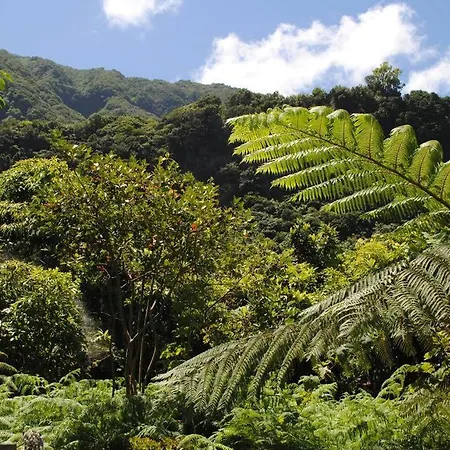 Casa Do Mar 2 Bedrooms And Kingsize Bed Ponta Delgada (Madeira)