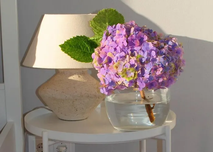 Apartmán Casa Do Mar 2 Bedrooms And Kingsize Bed *