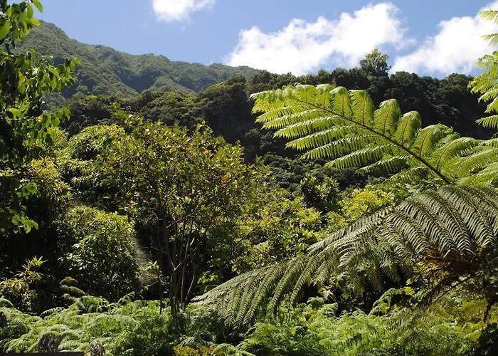 Casa Do Mar 2 Bedrooms And Kingsize Bed 蓬塔德尔加达